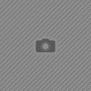 Zamp RZ-67D SA2025 Helmet, Flo Blue Carbon Graphic