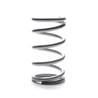 Landrum 5 x 11 Elite Rear Spring