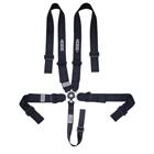 Ultra Shield ARMOR 5-Pt 3 Pull Down Camlock