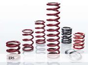 Eibach 5" x 11" Rear Springs