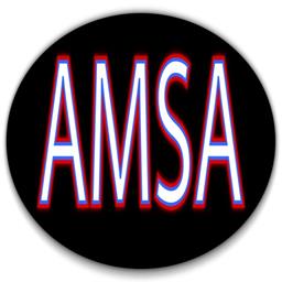 American Micro Sprint Association