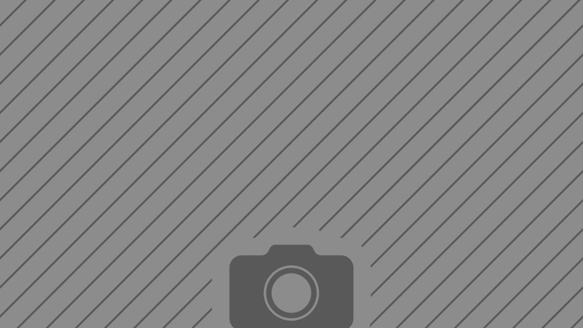 Daulton Wilson, Big Frog Motorsports Join World of Outlaws Full-Time in 2026