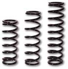Integra 5 x 11 Rear Springs